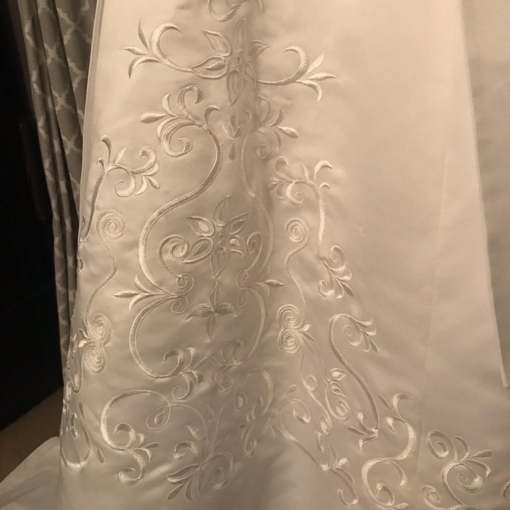 David's Bridal St Tropez Wedding Dress - Picture 6 of 8